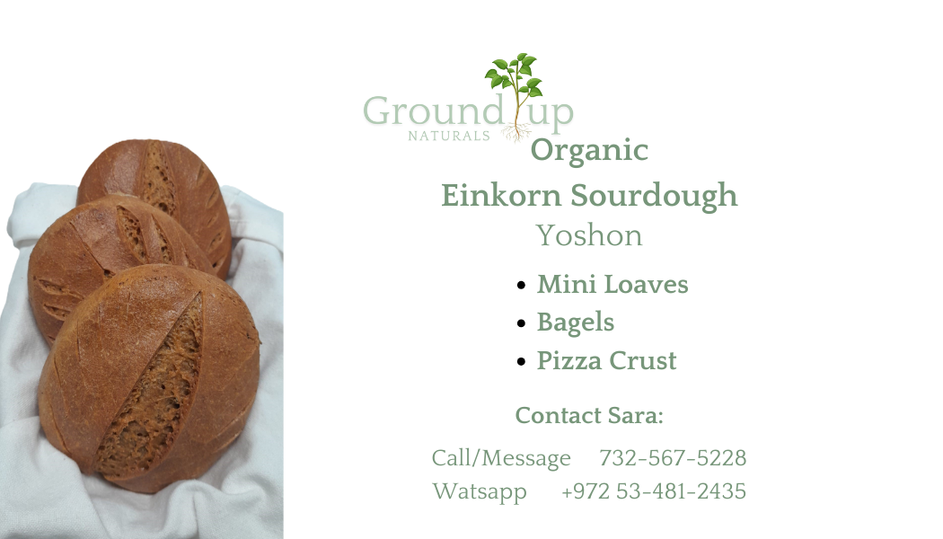 Ground Up Naturals advertisement
